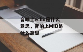 音响上echo是什么意思，音响上MID是什么意思