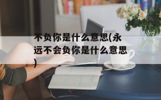 不负你是什么意思(永远不会负你是什么意思)