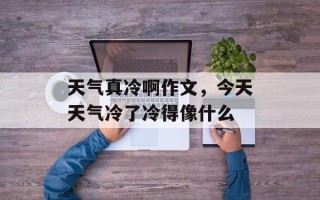 天气真冷啊作文，今天天气冷了冷得像什么