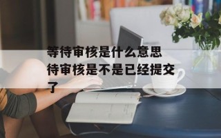 等待审核是什么意思 待审核是不是已经提交了