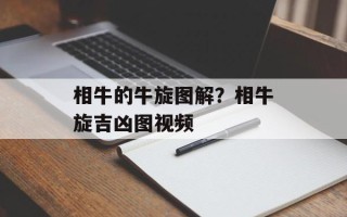 相牛的牛旋图解？相牛旋吉凶图视频