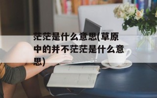 茫茫是什么意思(草原中的并不茫茫是什么意思)