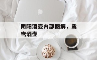 阴阳酒壶内部图解，鸳鸯酒壶
