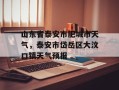 山东省泰安市肥城市天气，泰安市岱岳区大汶口镇天气预报