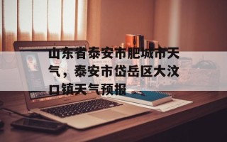 山东省泰安市肥城市天气，泰安市岱岳区大汶口镇天气预报