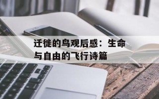 迁徙的鸟观后感：生命与自由的飞行诗篇