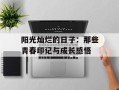 阳光灿烂的日子：那些青春印记与成长感悟