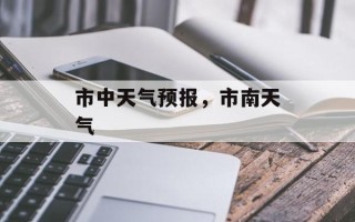 市中天气预报，市南天气