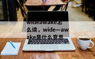 wideawake怎么读，wide—awake是什么意思