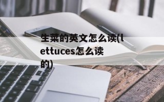 生菜的英文怎么读(lettuces怎么读的)