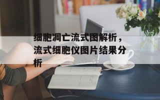 细胞凋亡流式图解析，流式细胞仪图片结果分析