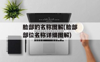 脸部的名称图解(脸部部位名称详细图解)