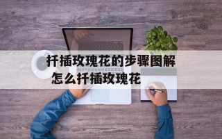 扦插玫瑰花的步骤图解 怎么扦插玫瑰花