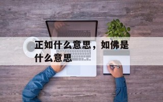 正如什么意思，如佛是什么意思
