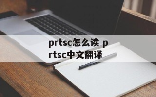 prtsc怎么读 prtsc中文翻译