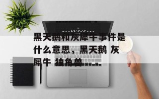 黑天鹅和灰犀牛事件是什么意思，黑天鹅 灰犀牛 独角兽
