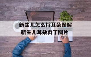 新生儿怎么捋耳朵图解 新生儿耳朵肉丁图片