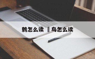 鹩怎么读 鹟鸟怎么读