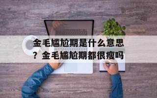 金毛尴尬期是什么意思？金毛尴尬期都很瘦吗