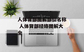 人体背部图解部位名称 人体背部经络图解大全