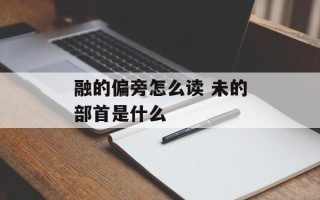 融的偏旁怎么读 未的部首是什么
