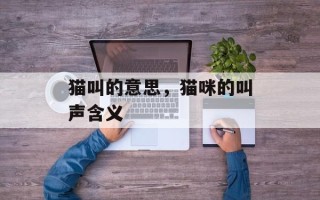 猫叫的意思，猫咪的叫声含义