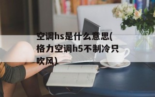 空调hs是什么意思(格力空调h5不制冷只吹风)