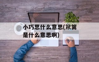 小巧思什么意思(笊篱是什么意思啊)