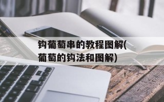 钩葡萄串的教程图解(葡萄的钩法和图解)
