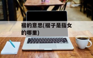 褶的意思(褶子是指女的哪里)