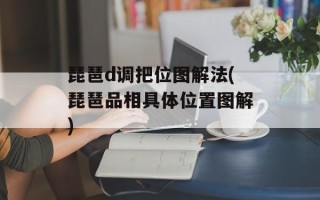 琵琶d调把位图解法(琵琶品相具体位置图解)