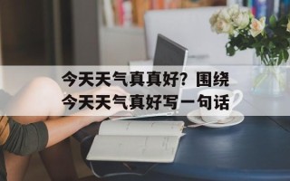 今天天气真真好？围绕今天天气真好写一句话