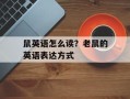 鼠英语怎么读？老鼠的英语表达方式