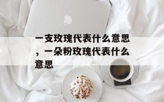 一支玫瑰代表什么意思，一朵粉玫瑰代表什么意思