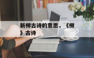 新柳古诗的意思，《柳》古诗