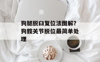 狗腿脱臼复位法图解？狗髋关节脱位最简单处理