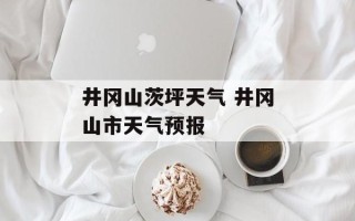 井冈山茨坪天气 井冈山市天气预报