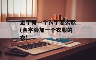 金字旁一个衣字怎么读(金字旁加一个衣服的衣)