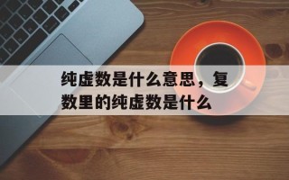 纯虚数是什么意思，复数里的纯虚数是什么