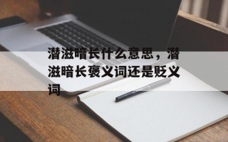 潜滋暗长什么意思，潜滋暗长褒义词还是贬义词