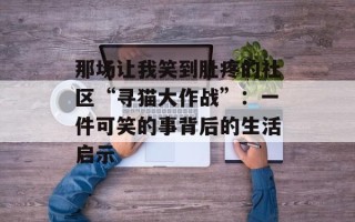 那场让我笑到肚疼的社区“寻猫大作战”：一件可笑的事背后的生活启示
