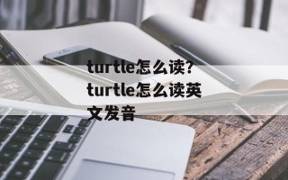 turtle怎么读？turtle怎么读英文发音