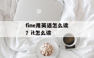 fine用英语怎么读？it怎么读