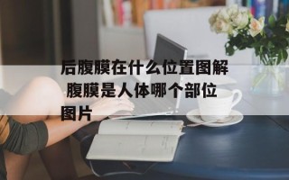 后腹膜在什么位置图解 腹膜是人体哪个部位图片