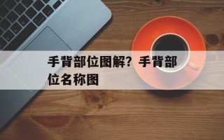 手背部位图解？手背部位名称图
