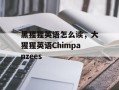 黑猩猩英语怎么读，大猩猩英语Chimpanzees