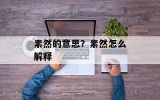 素然的意思？素然怎么解释