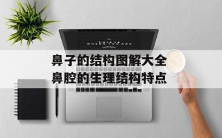 鼻子的结构图解大全 鼻腔的生理结构特点