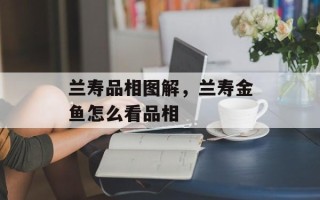 兰寿品相图解，兰寿金鱼怎么看品相