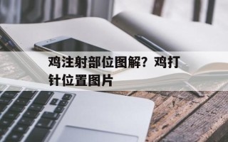 鸡注射部位图解？鸡打针位置图片